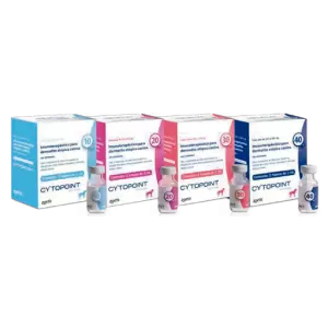 Cytopoint Lokivetmab